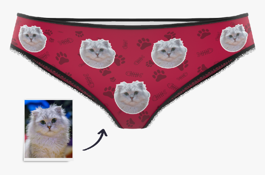 Panties Png, Transparent Png, Free Download