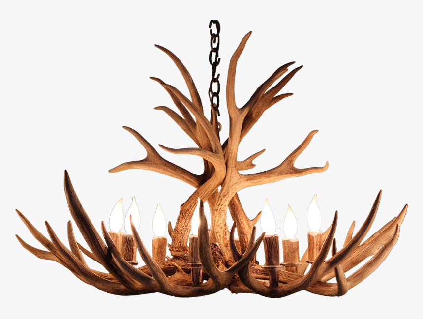 Antler Png, Transparent Png, Free Download