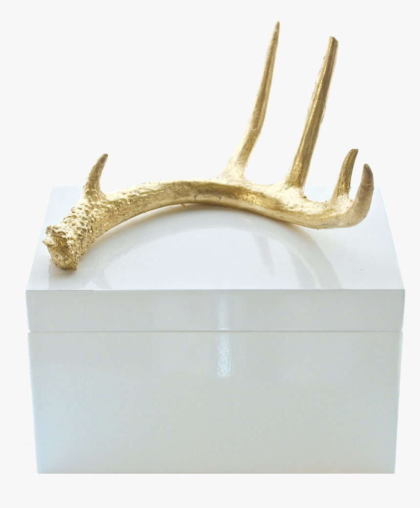 Lacquered Box With Antler, HD Png Download, Free Download