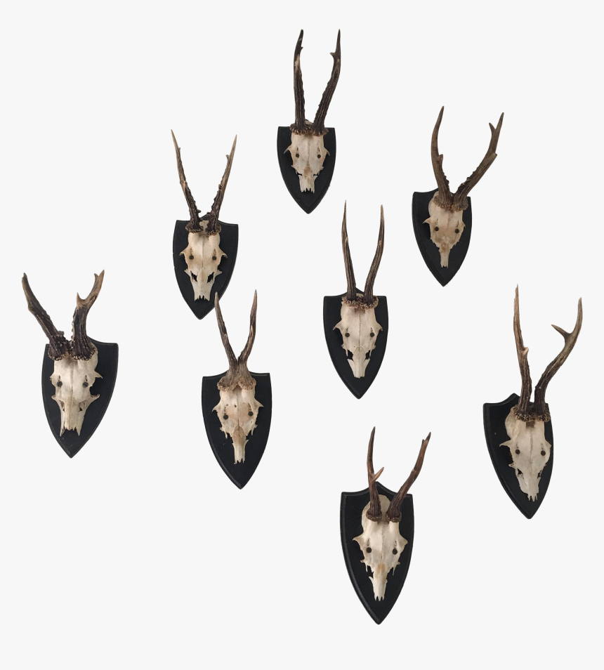 Deer Antler Png Graphic Black And White, Transparent Png, Free Download