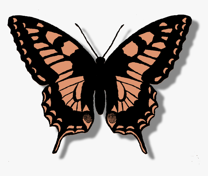 Butterfly Digital Clip Art Download Silhouette, HD Png Download, Free Download