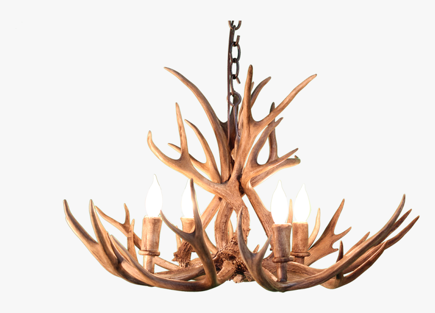 Antler Png, Transparent Png, Free Download