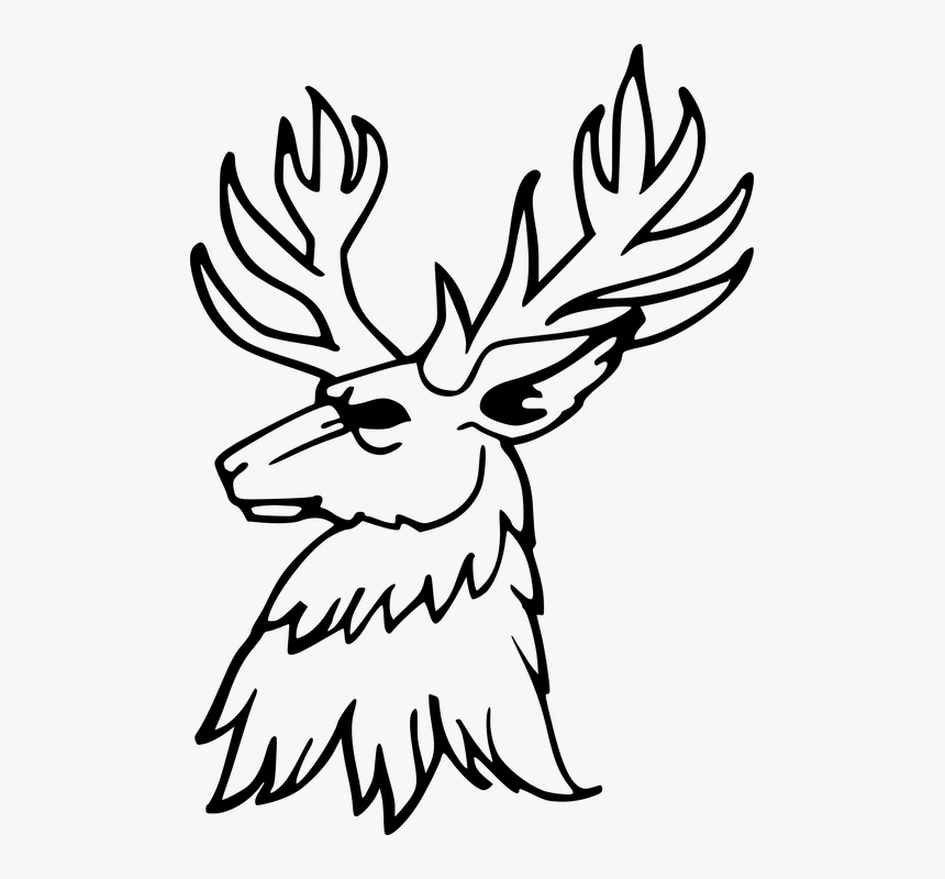 Stag, Horn, Antler, Deer, Wildlife, Animal, Wild, HD Png Download, Free Download