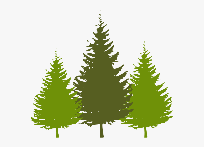 Trees Svg Clip Arts, HD Png Download, Free Download