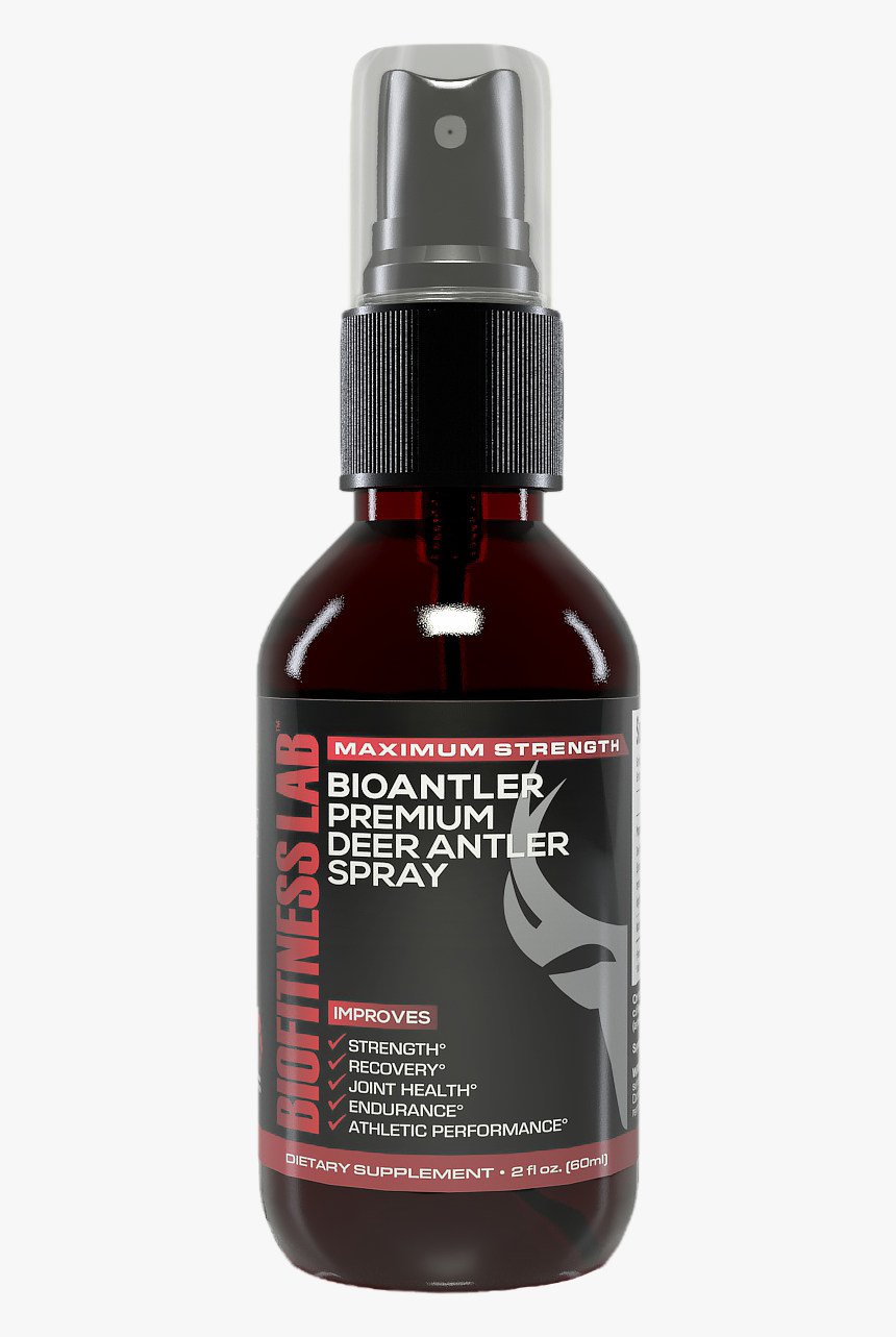 Premium Deer Antler Spray, HD Png Download, Free Download