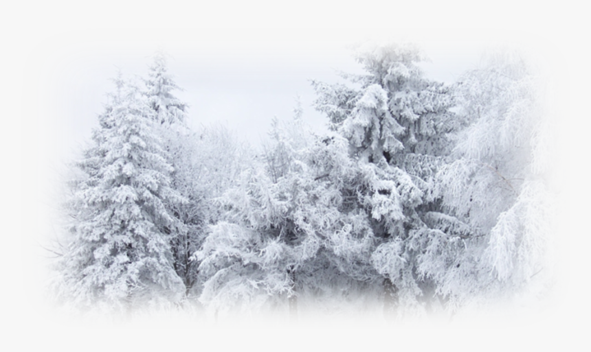 Winter Snow Desktop Wallpaper Cold, HD Png Download - kindpng