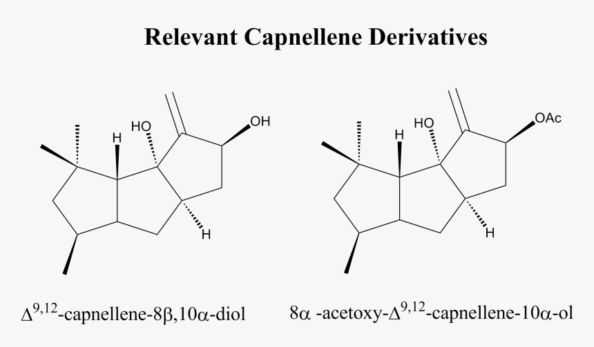 Capnellene Drugs, HD Png Download, Free Download