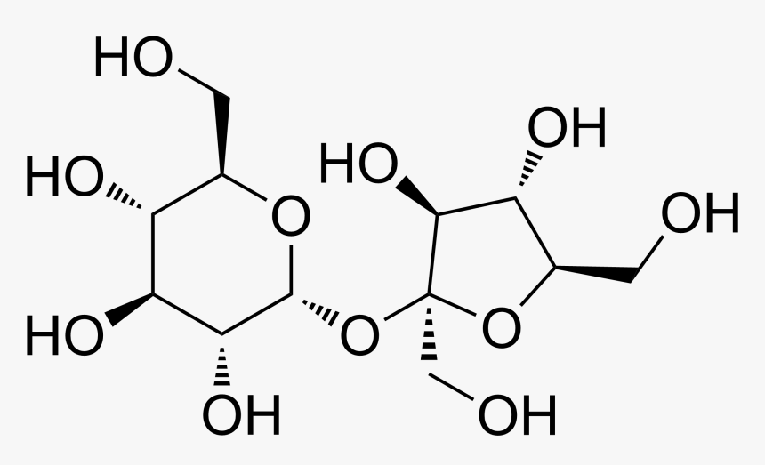 File - Sucrose2, HD Png Download, Free Download