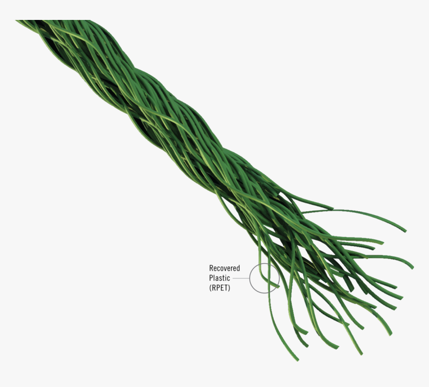 Yarn Png, Transparent Png, Free Download