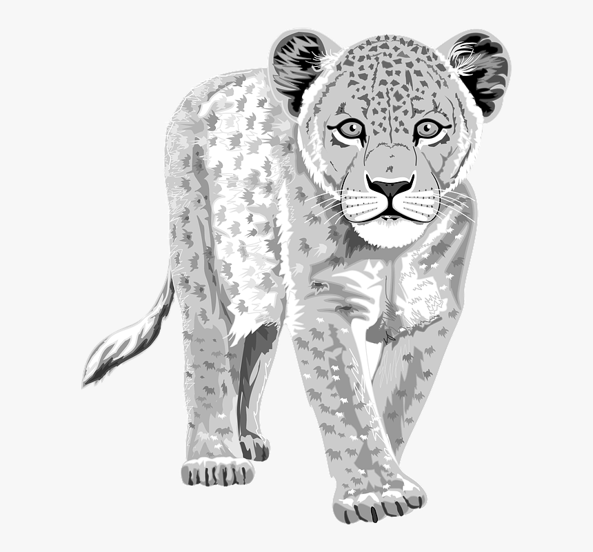Leopard Svg Clip Arts, HD Png Download, Free Download