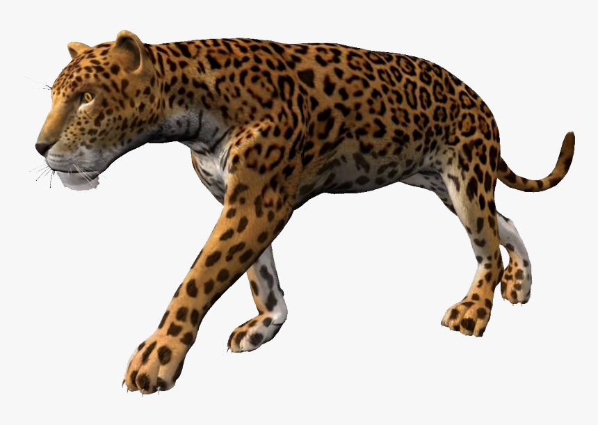 Leopard Background Png, Transparent Png, Free Download