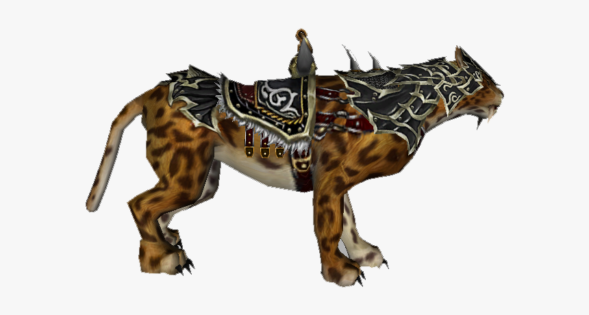 Leopard Png, Transparent Png, Free Download