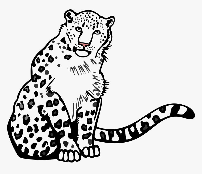 Transparent Leopard Clipart - Snow Leopard Images Outline, HD Png Download, Free Download