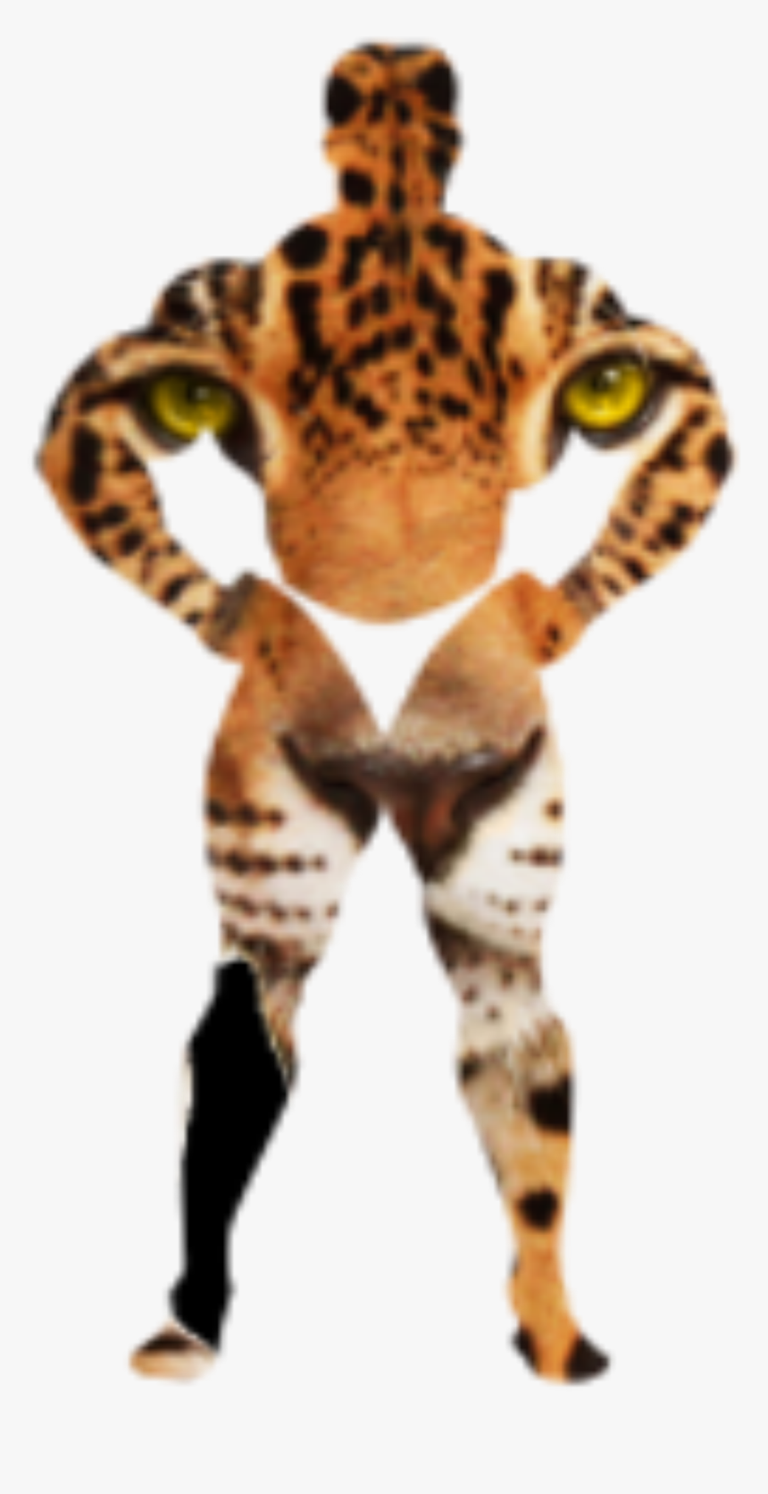 Leopard In The Body Of A Man Clip Arts - Leopard Tiger Lion Cheetah, HD Png Download, Free Download