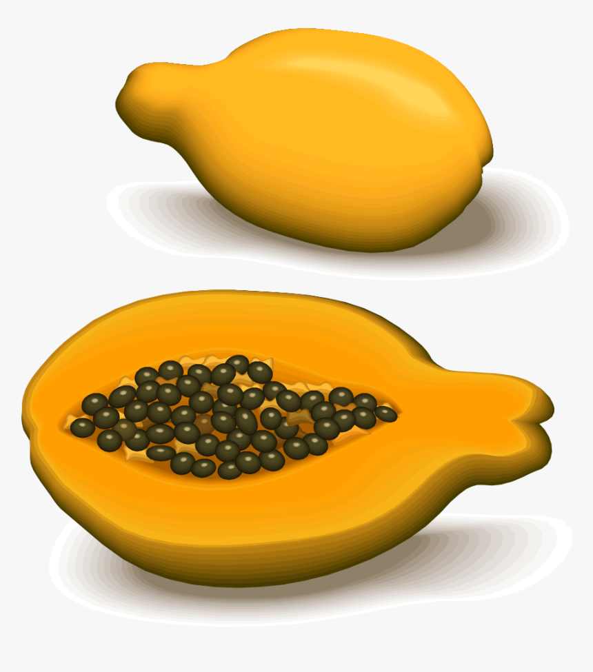 Papaya By Cactus Cowboy - Papaya, HD Png Download, Free Download