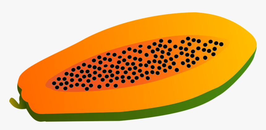 Papaya, Fruit, Vector, Food - มะละกอ Png, Transparent Png, Free Download