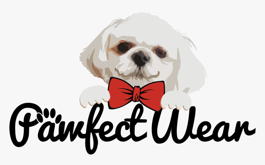 Shih-poo, HD Png Download, Free Download