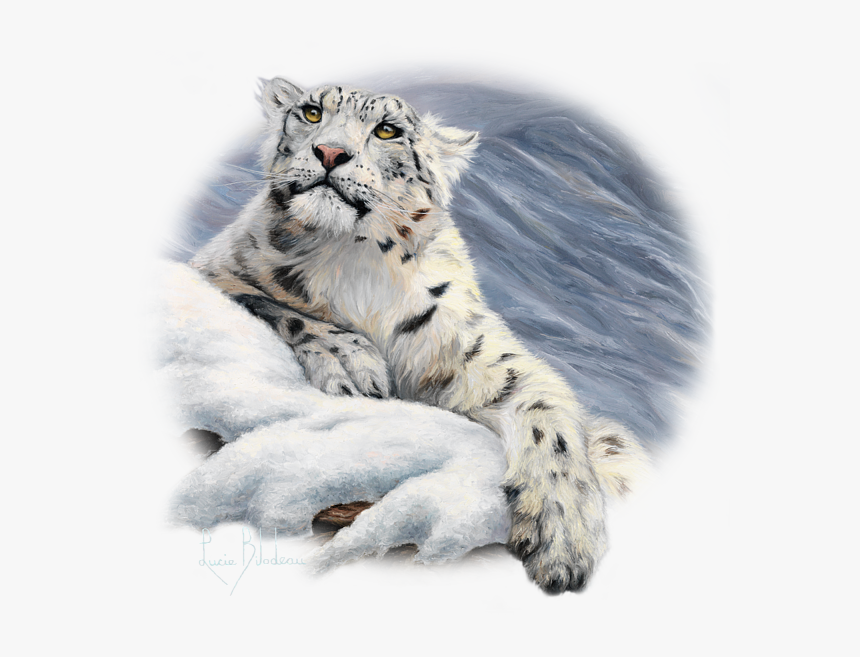 Transparent Leopard Png - Transparent Snow Leopard Png, Png Download, Free Download