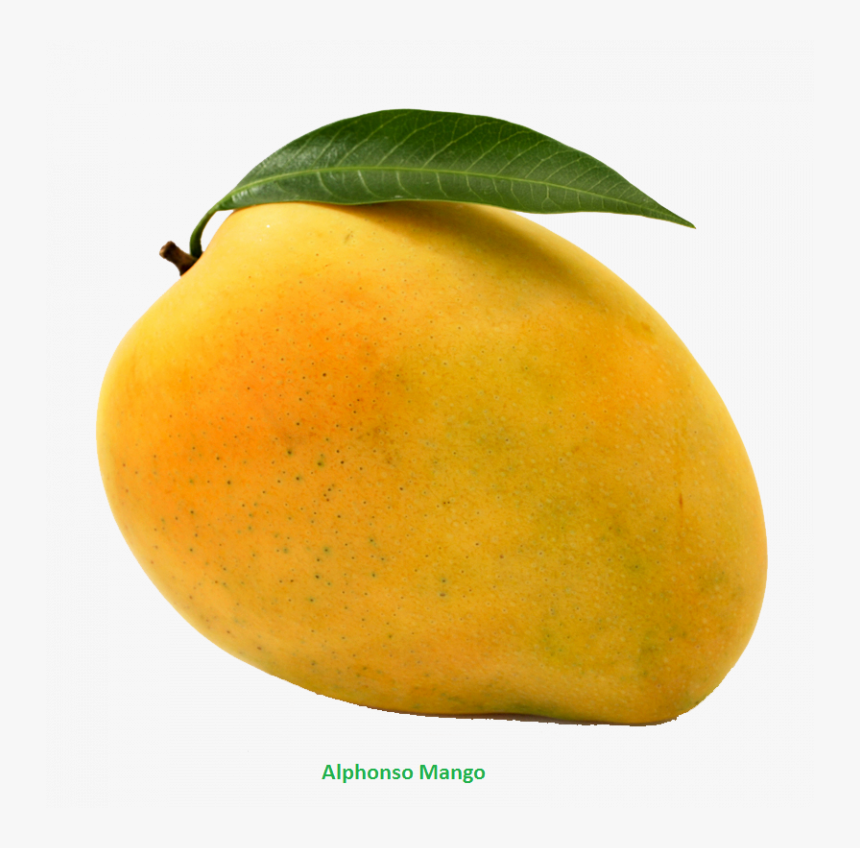 Papaya - Mango Png, Transparent Png, Free Download