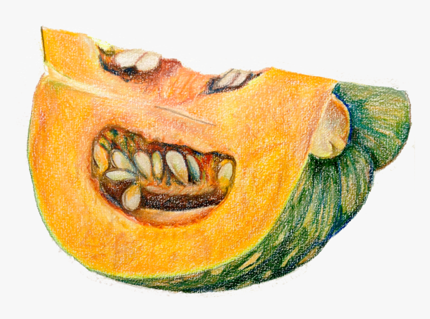 Papaya Drawing Orange Fruit - Pumpkin, HD Png Download, Free Download