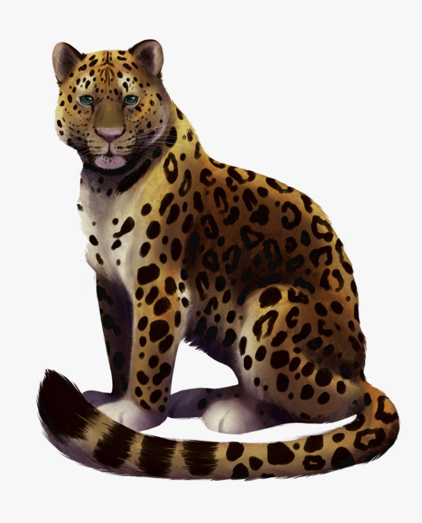Amur Leopard , Png Download - Amur Leopard No Background, Transparent Png, Free Download