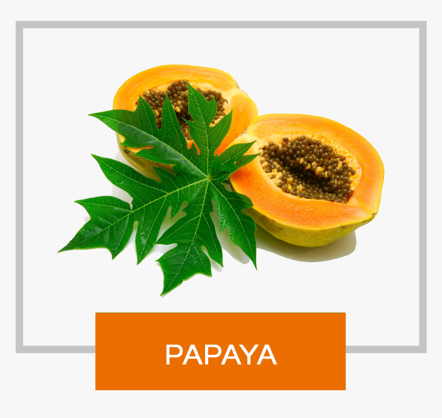 Papaya Png, Transparent Png, Free Download