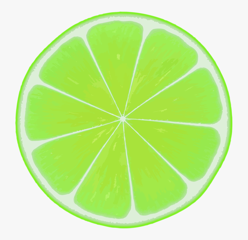 Leaf,citrus,key Lime - Key Lime Transparent Drawing, HD Png Download, Free Download