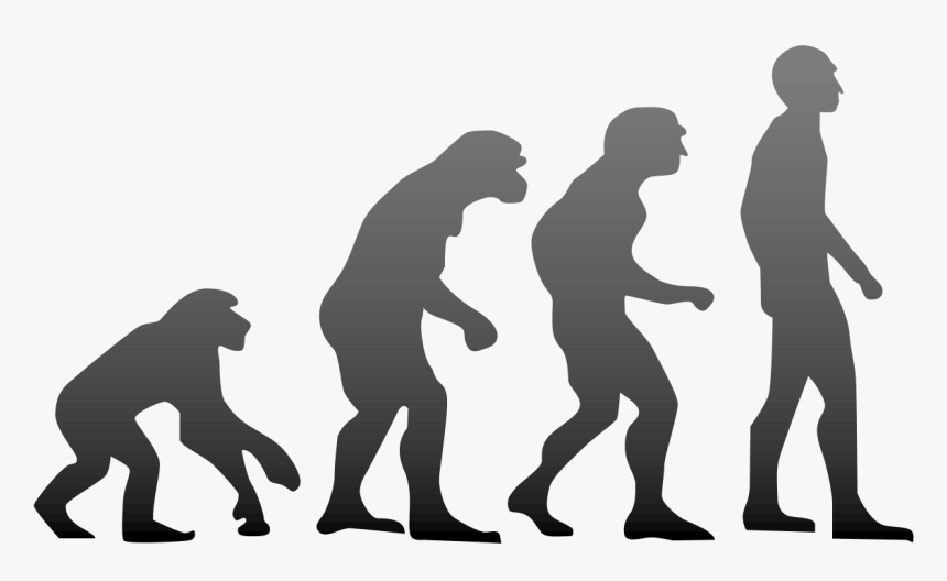 The Hrd Minister Thinks Theory Of Evolution Is Wrong - Four Stages Of Evolution Of Man, HD Png Download, Free Download