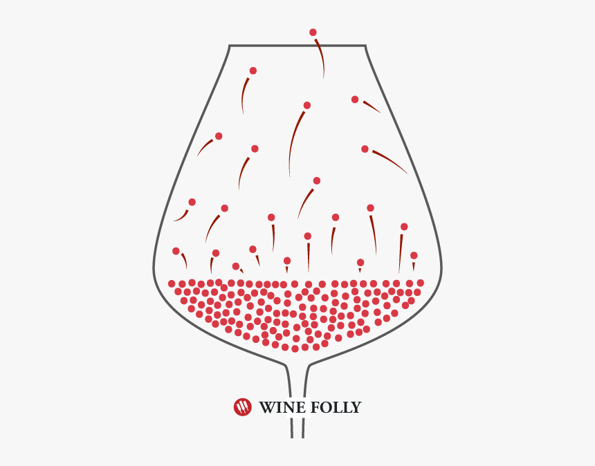 Alcohol Evaporation Diagram By Wine Folly - Alcohol Fermentation Wine Folly, HD Png Download, Free Download