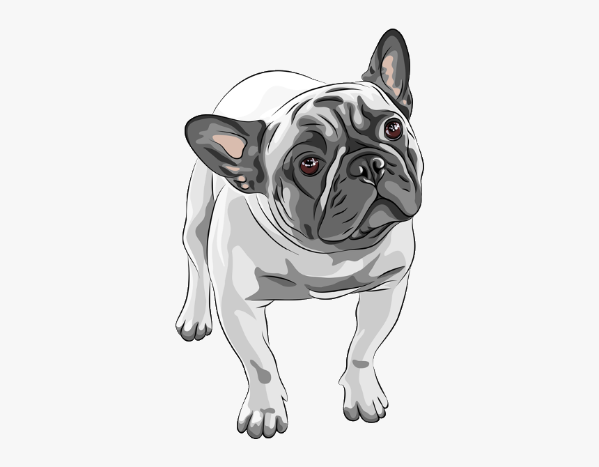 French Bulldog Vector Png, Transparent Png, Free Download