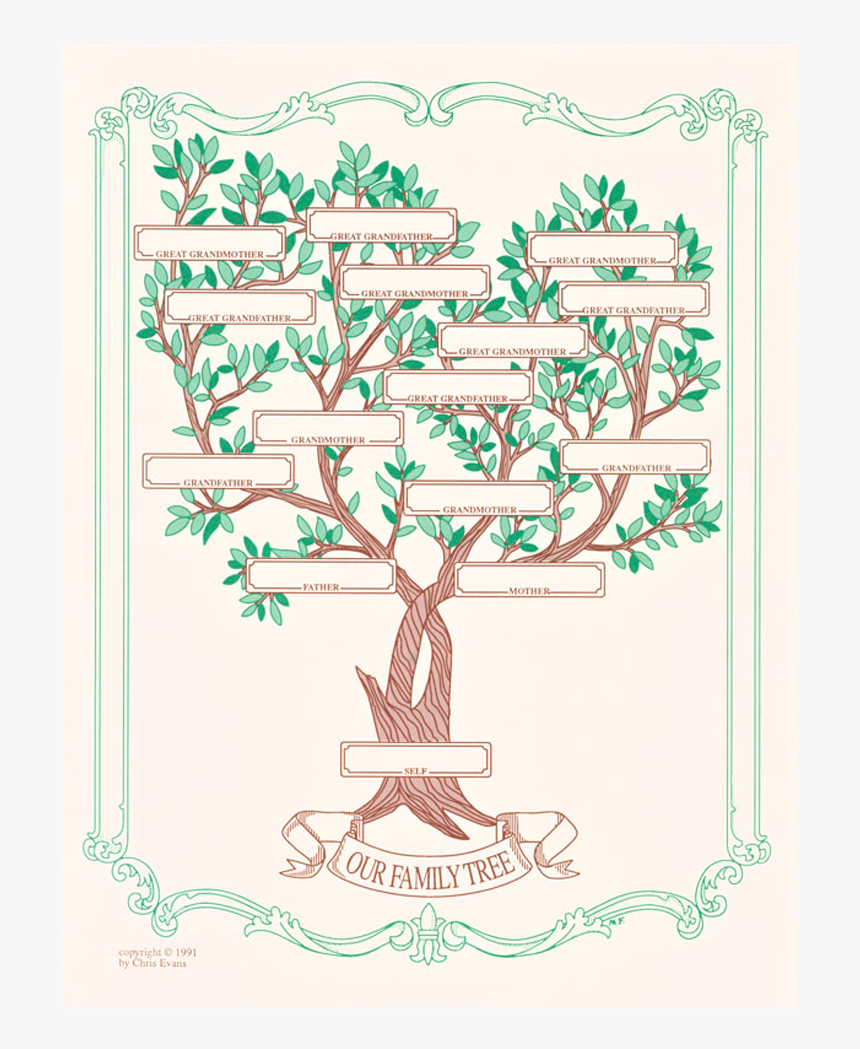 Copy Of A Family Tree, HD Png Download, Free Download