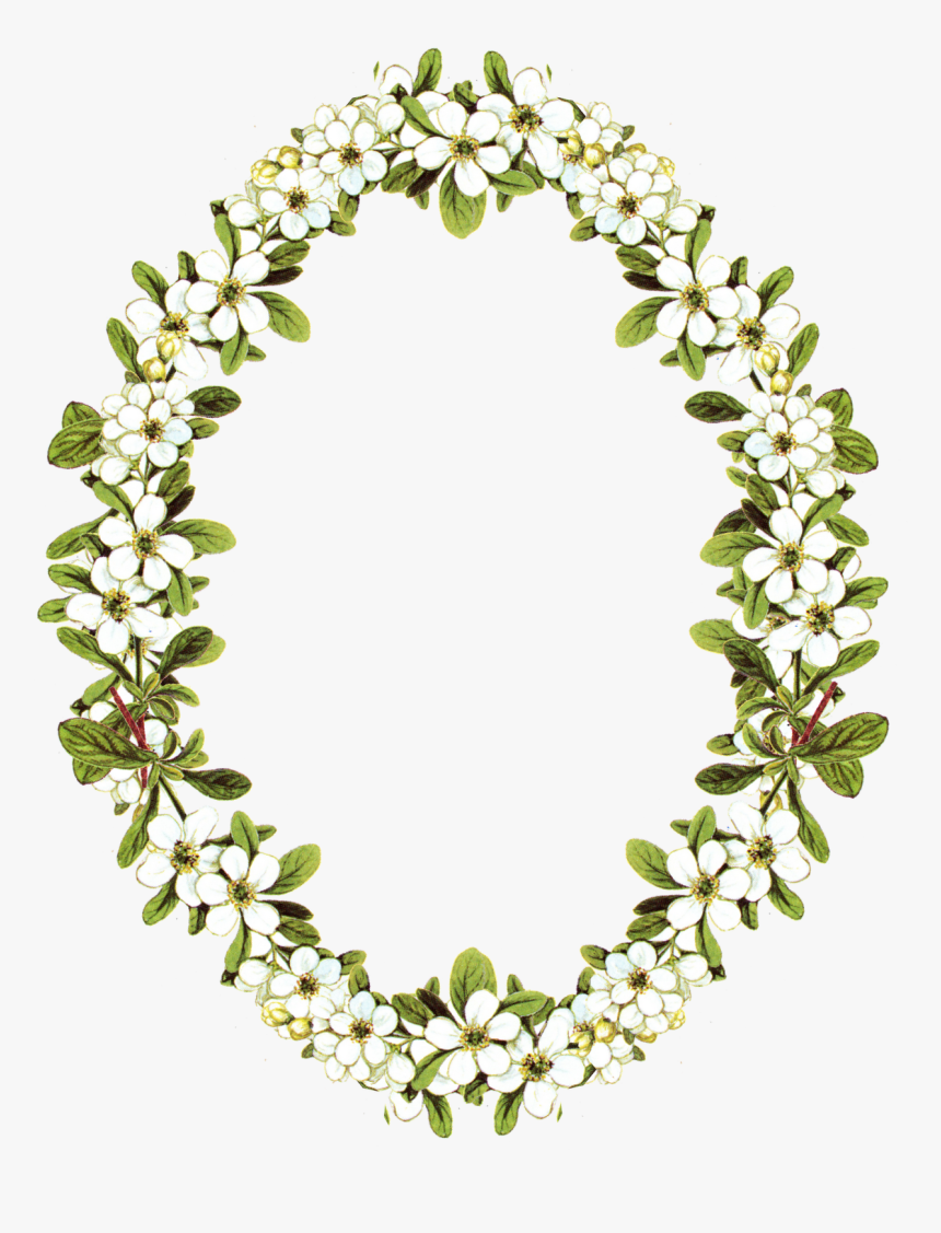 Floral Clipart Oval Frame - Vintage Flower Frame Png, Transparent Png, Free Download