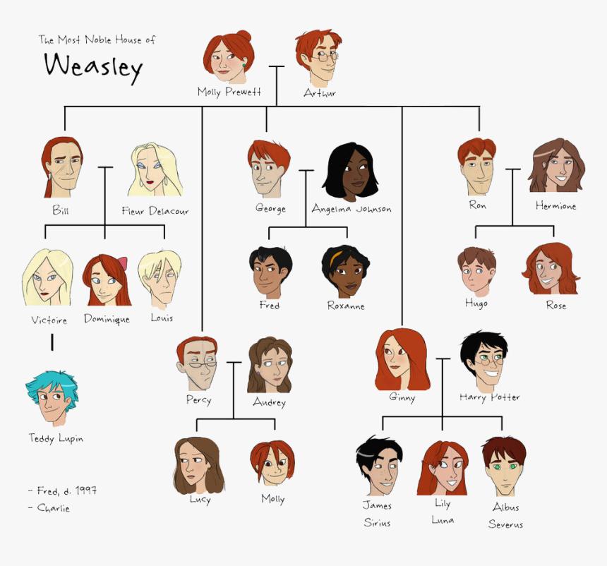 Weasley Family Tree, HD Png Download, Free Download