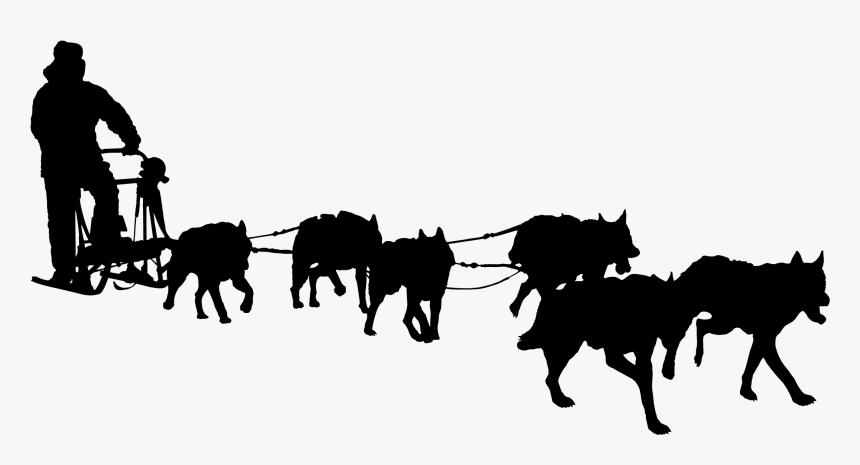 Siberian Husky Iditarod Trail Sled Dog Race Alaskan - Dog Sled Team Clipart, HD Png Download, Free Download