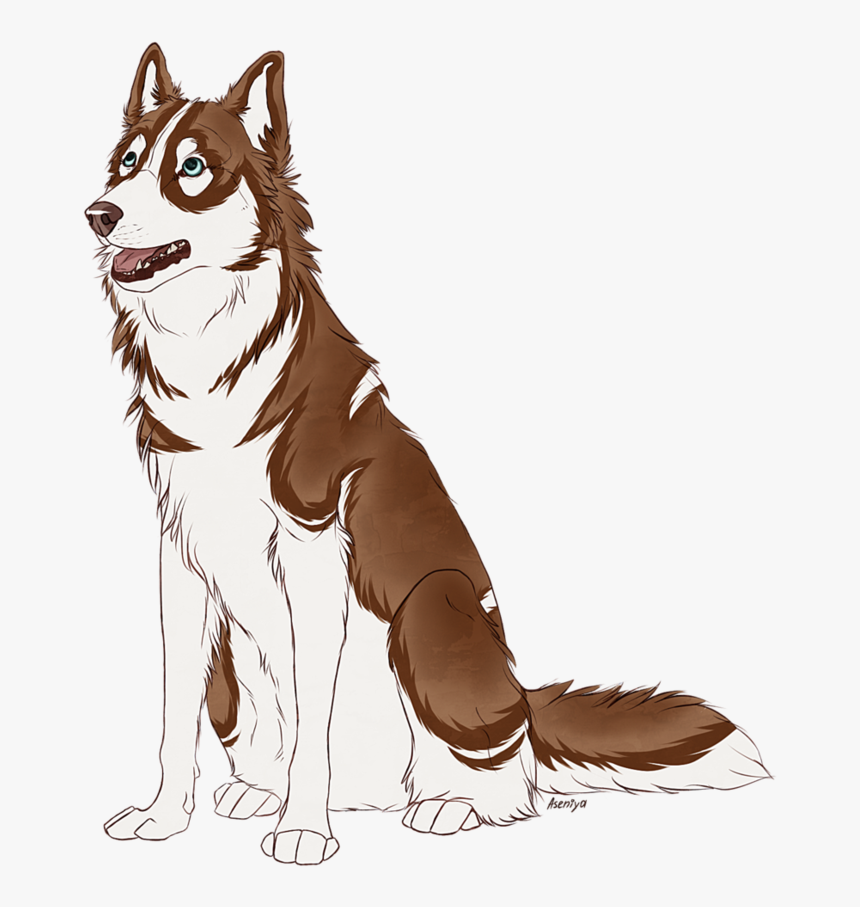 Drawing Husky Watercolor Image Royalty Free Library - Husky Drawings Watercolor, HD Png Download, Free Download