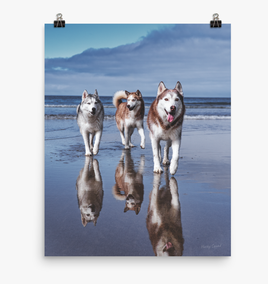 Life"s A Beach Poster - Husky Squad, HD Png Download, Free Download