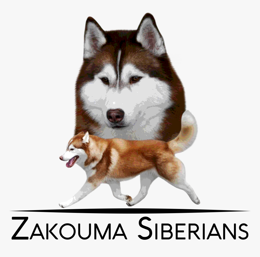 Zakouma Siberians, HD Png Download, Free Download