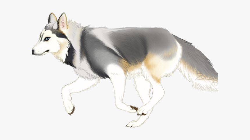 Drawn Husky Full Body - Full Body Wolf Sketch, HD Png Download, Free Download