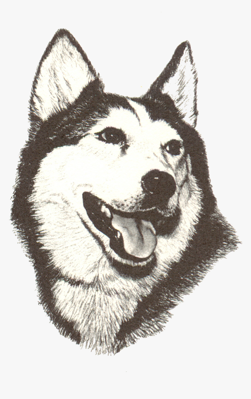 New Holstein Huskies, HD Png Download, Free Download