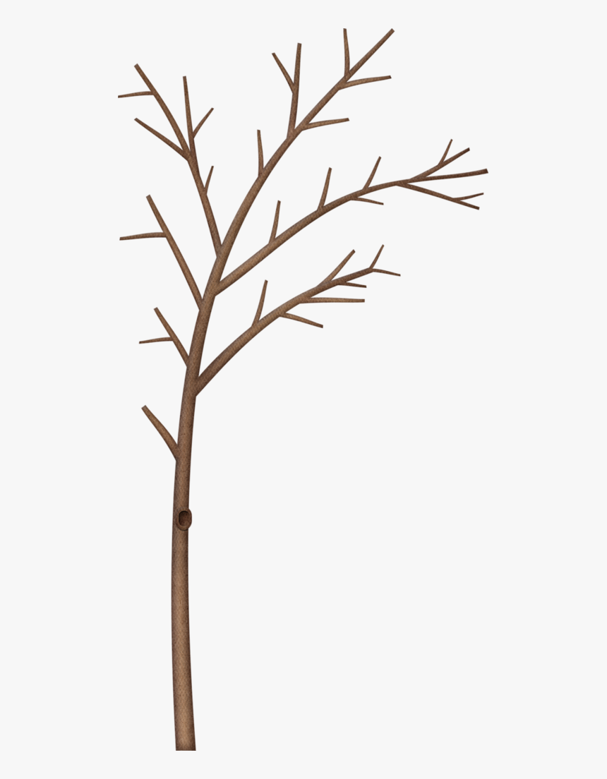 Tree Clipart Truffula Lorax - Winter Tree Branch Border Clipart, HD Png Download, Free Download