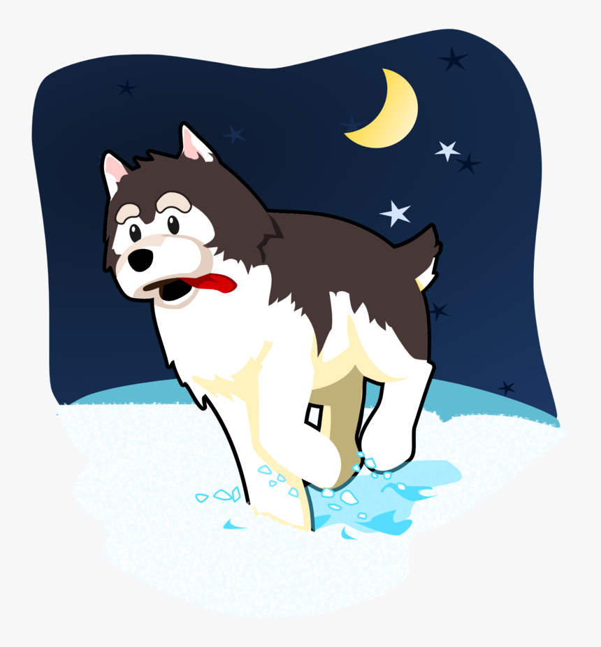 Siberian Husky, HD Png Download, Free Download