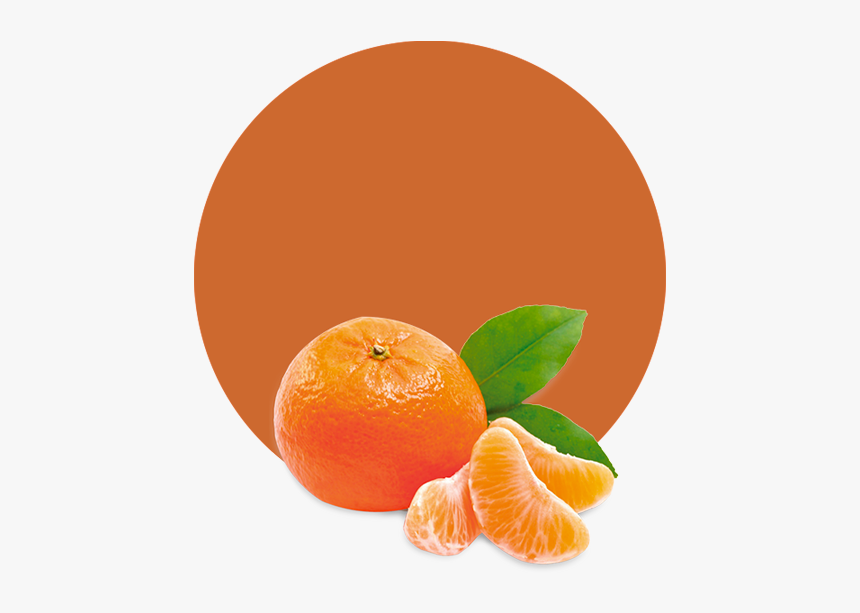 Mandarins Transparent Png, Png Download, Free Download