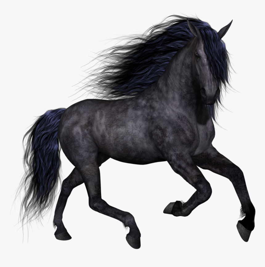 Horse Clip Art - Лошадь С Прозрачным Фоном, HD Png Download, Free Download
