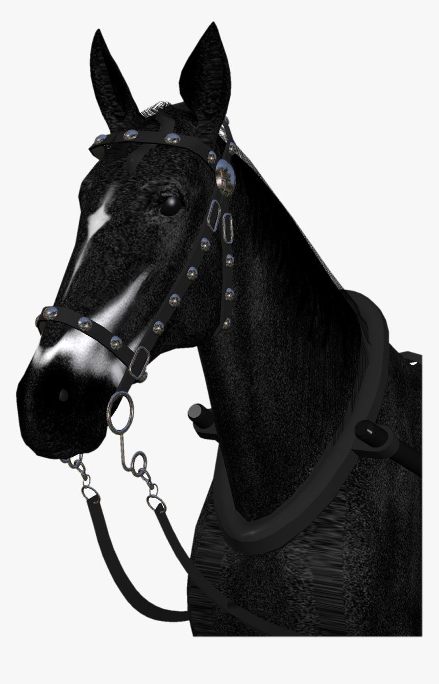 Transparent Horses Png - Horse, Png Download, Free Download