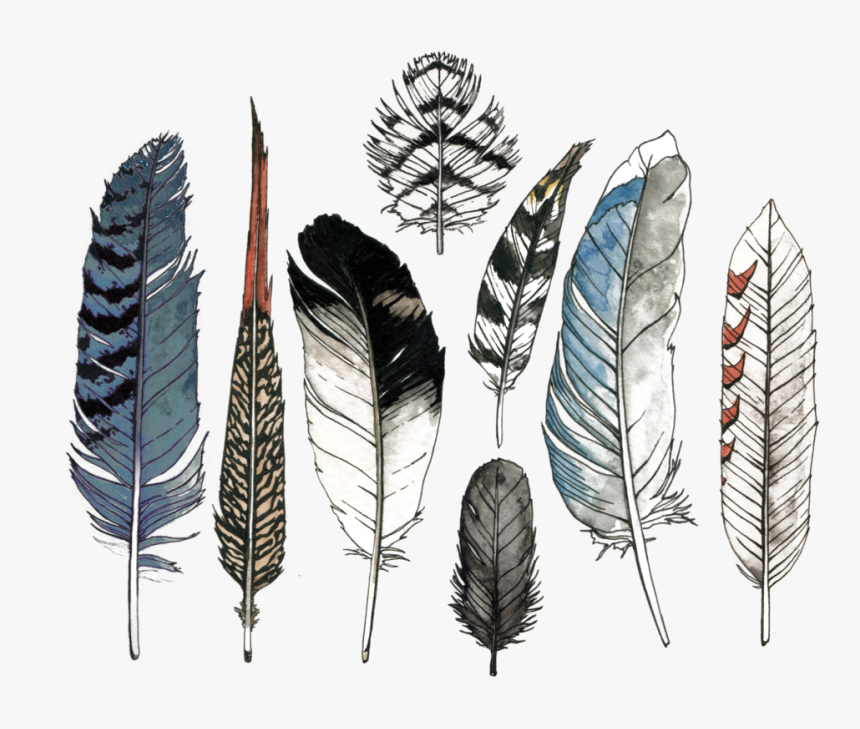 Natural-material - Watercolor Feathers, HD Png Download, Free Download