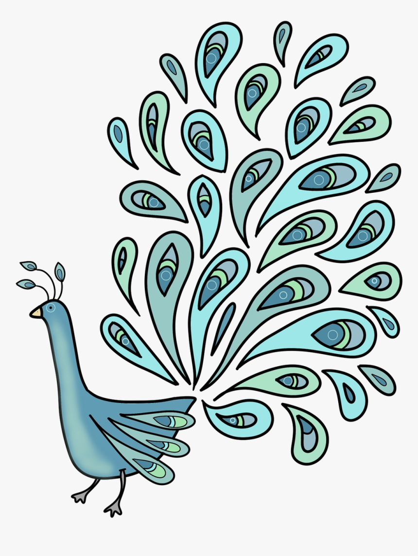 Single Peacock Feathers Png Download - Peacock Images Hd For Colouring, Transparent Png, Free Download