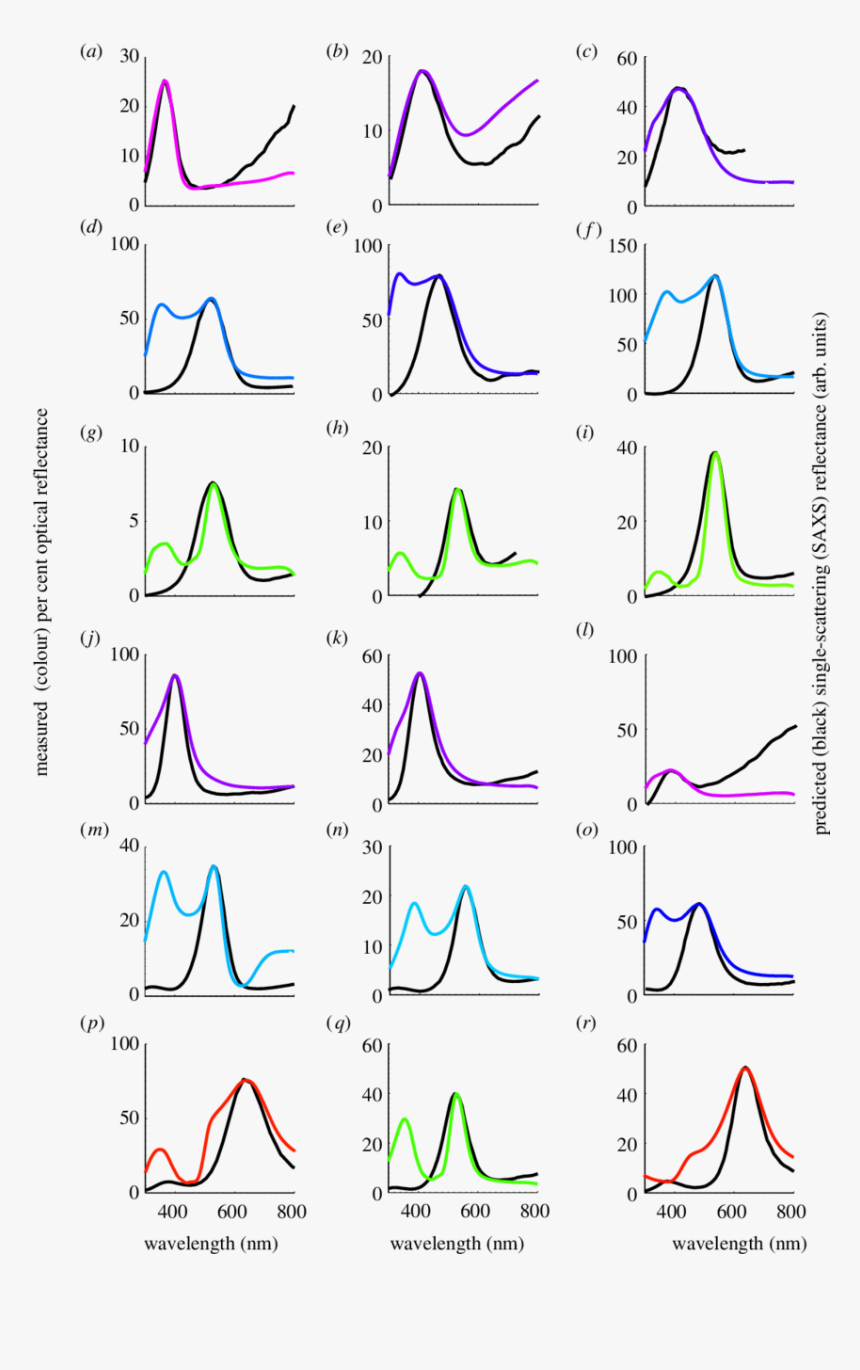 Plot, HD Png Download, Free Download