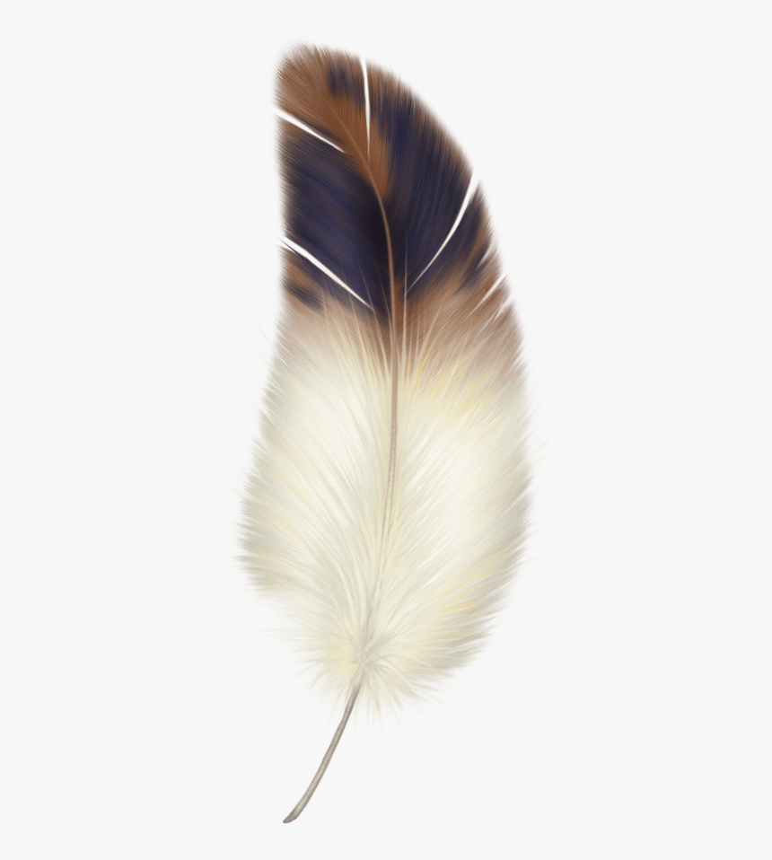 Brown And White Feather - Feather Png, Transparent Png, Free Download