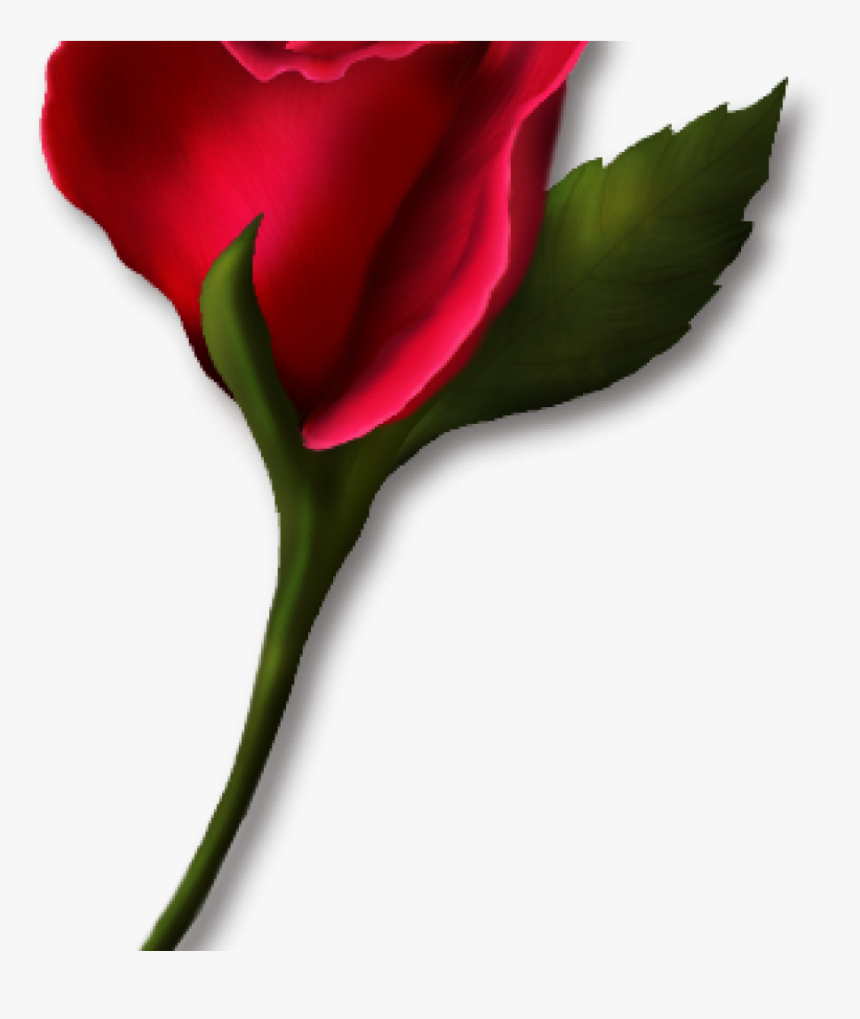 Single Rose Clipart Single Rose Clipart Png Real Clipart - Single Rose Clipart, Transparent Png, Free Download