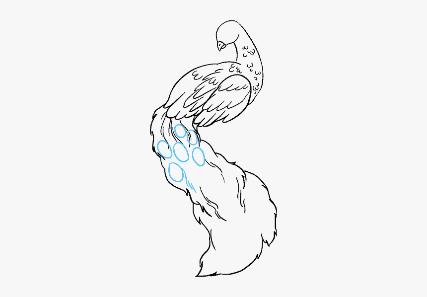 How To Draw Peacock - White Peacock Drawing Easy, HD Png Download, Free Download